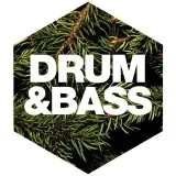 Drum and Bass Archive - FLAC