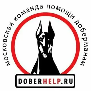 DoberHelp - помощь доберманам