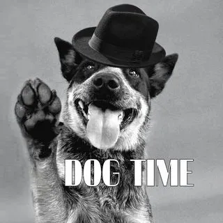 DOG TIME - уроки для собак в Киеве
