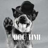 DOG TIME - уроки для собак в Киеве