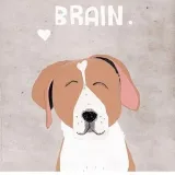 Perros - Ayudando a los animales