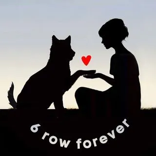 Dogs_forever - жизнь собак из приюта