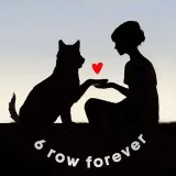 Dogs_forever - shelter dog life