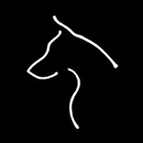DOGUPFOTO - fotografía de perros