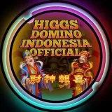 Higgs Domino- gaming services