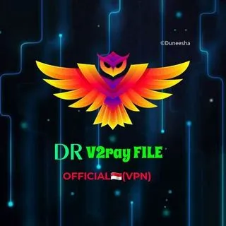 DR VPN V2RAY - V2Ray файлы