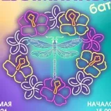 DRAGONFLY FESTIVAL - K-POP cover