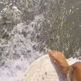 Jessica Rose- Inmunóloga