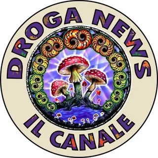 Droga News - наука и события
