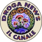 Droga News - наука и события