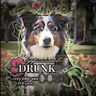 DRUNK_DOGS - пьяные собаки