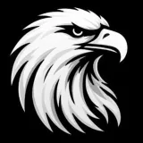 Águila - Hoja de ruta única