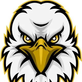 Eagle Vision - Multichain Bridging