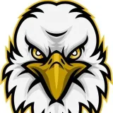 Eagle Vision - Multichain Bridging