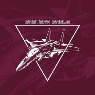 Eastern Eagle - военная авиация