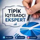 Tipik İqtisadçı - Economics and finance