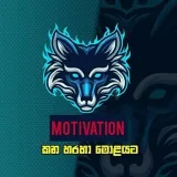 MOTIVATION - Мотивация и советы