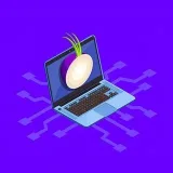 Canal de crack - Hacking y seguridad.