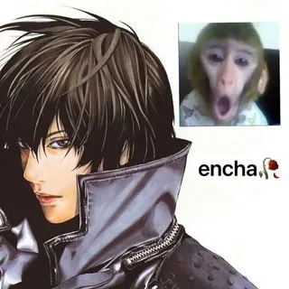 ENCHA - анимации