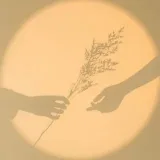 Ennui - цитаты и мысли