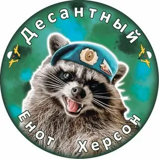 Енот Херсон - новости региона