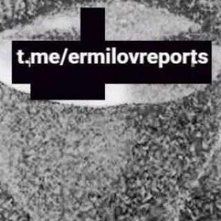 #ermilovreports - отчеты