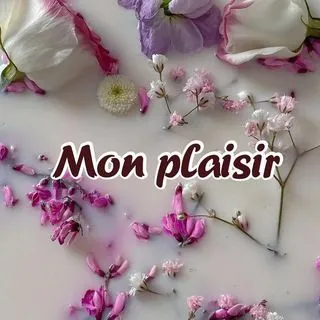 Mon Plaisir - визуальное искусство