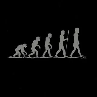 EVOLUTION ELITE - элитные новости