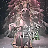 Exclusive Dogs - собаки