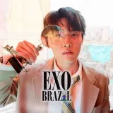 EXOBRASIL- Noticias Exo.