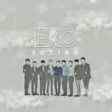 ExoVoting- anonymous voting