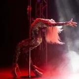 Exotic Pole By Paneva - dancing