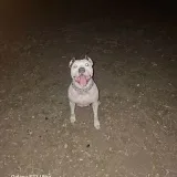 Ranura vacía - Contenido Pronto