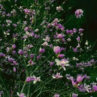 Exacerbation - юмор и мемы
