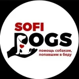 Sofidogs - собаки