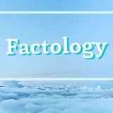 Factology - интересные факты