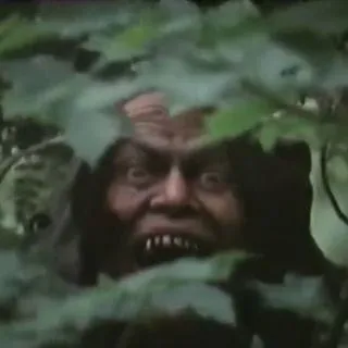 Scary Fact - Страшные факты