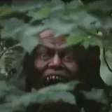 Scary Fact - Страшные факты