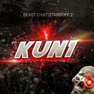 Kun1 x softer - софт для игр