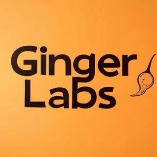 Ginger Labs - Text2Vid