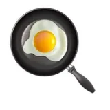 feedmetoo -IT-projects