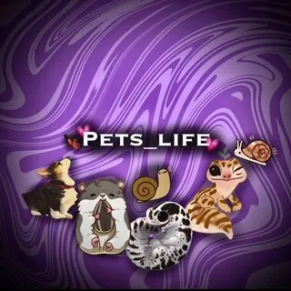 Pets_life - питомцы и ветеринария
