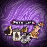 Animales de compañía - Animales de compañía y veterinaria