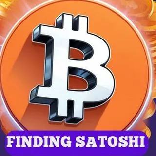 Finding Satoshi - ищи Сатоши