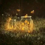 Firefly Themes- Telegram topics