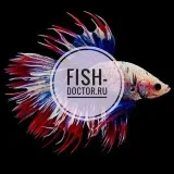 Fish Doctor - tratamiento de peces de acuario