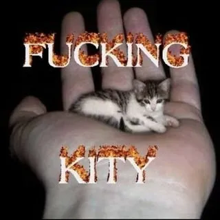 Fucking Kitty - милые животные