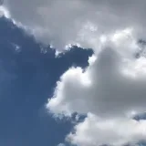 🦋 - бабочки и природа