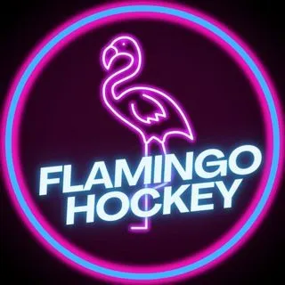 Flamingo Hockey - хоккей Украина