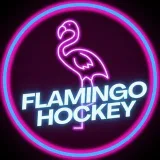 Flamingo Hockey - хоккей Украина